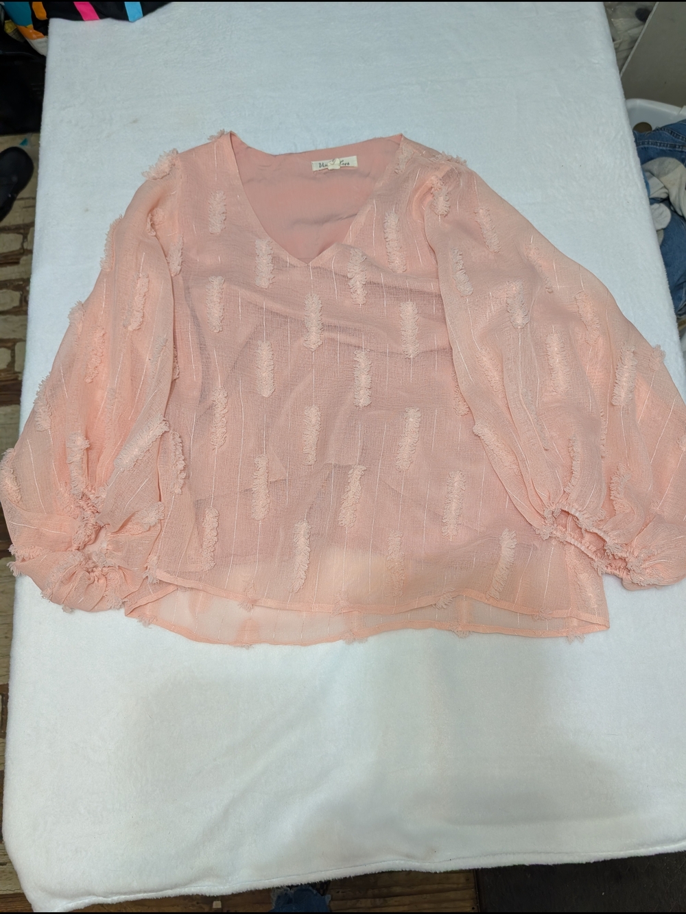 Vine & Love Sheer Peach V-Neck Textured Blouse Fairy Princess Babydoll